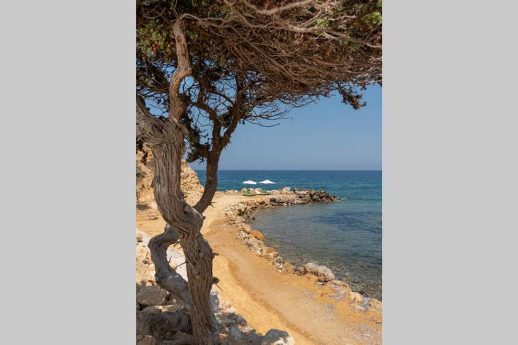 Ktima Sfakia Βίλα Κέφαλος Εξωτερικό φωτογραφία