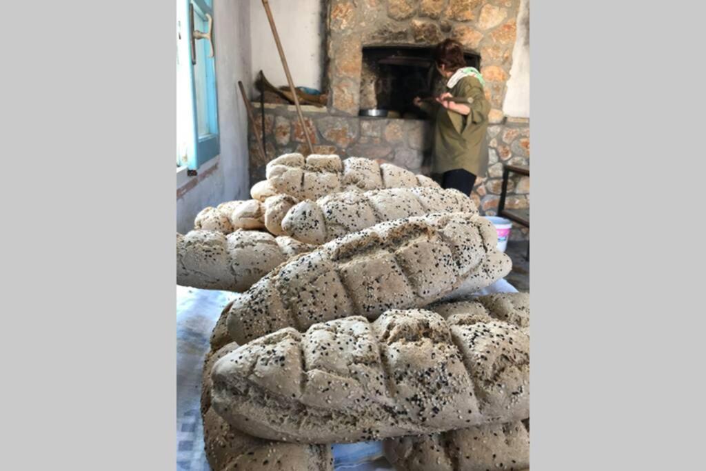 Ktima Sfakia Βίλα Κέφαλος Εξωτερικό φωτογραφία