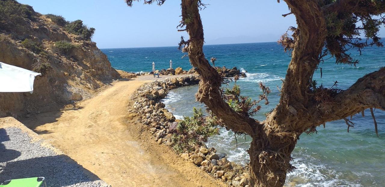 Ktima Sfakia Βίλα Κέφαλος Εξωτερικό φωτογραφία