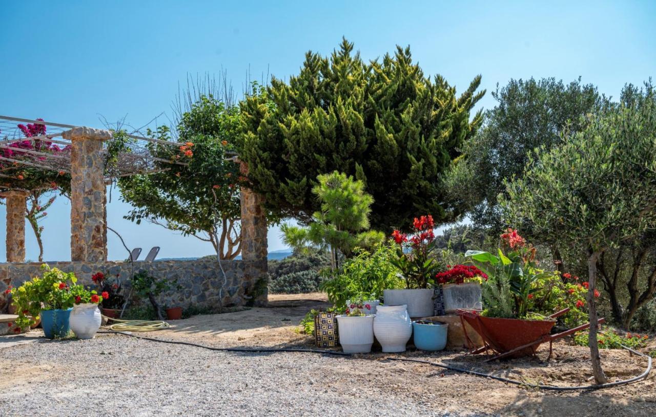 Ktima Sfakia Βίλα Κέφαλος Εξωτερικό φωτογραφία