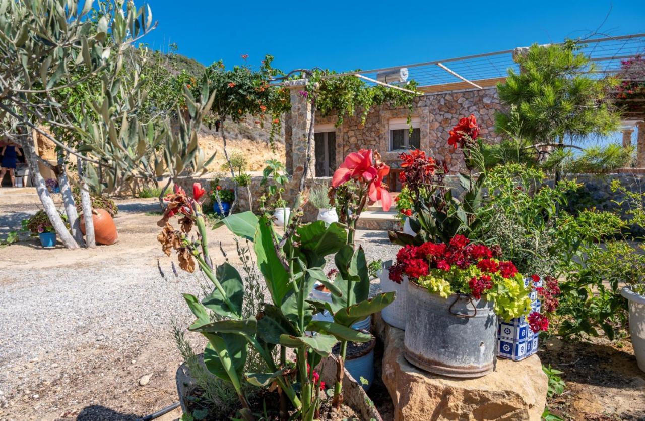 Ktima Sfakia Βίλα Κέφαλος Εξωτερικό φωτογραφία